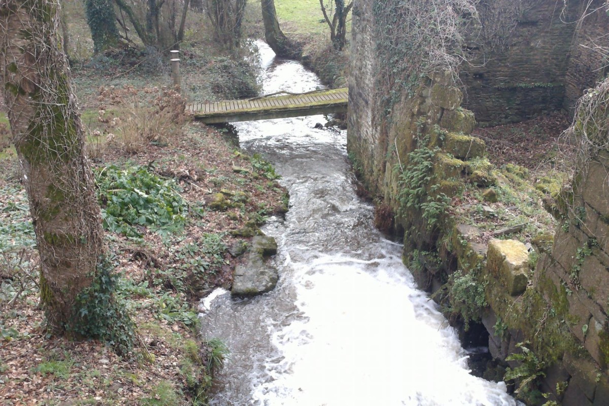 photo 34