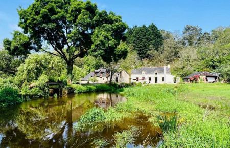 G&icirc;te n&deg;56G17767 Pluvigner - Morbihan - photo