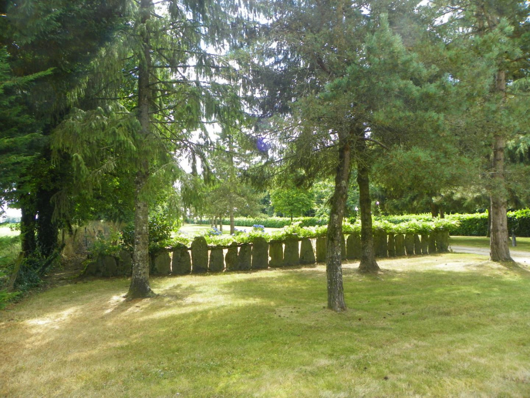 photo 40