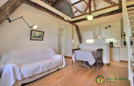 G&icirc;te n&deg;56G17645 Pluneret - Morbihan - photo