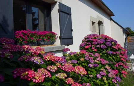Chambre d'h&ocirc;tes n&deg;56G56472 S&eacute;n&eacute; - Morbihan - photo